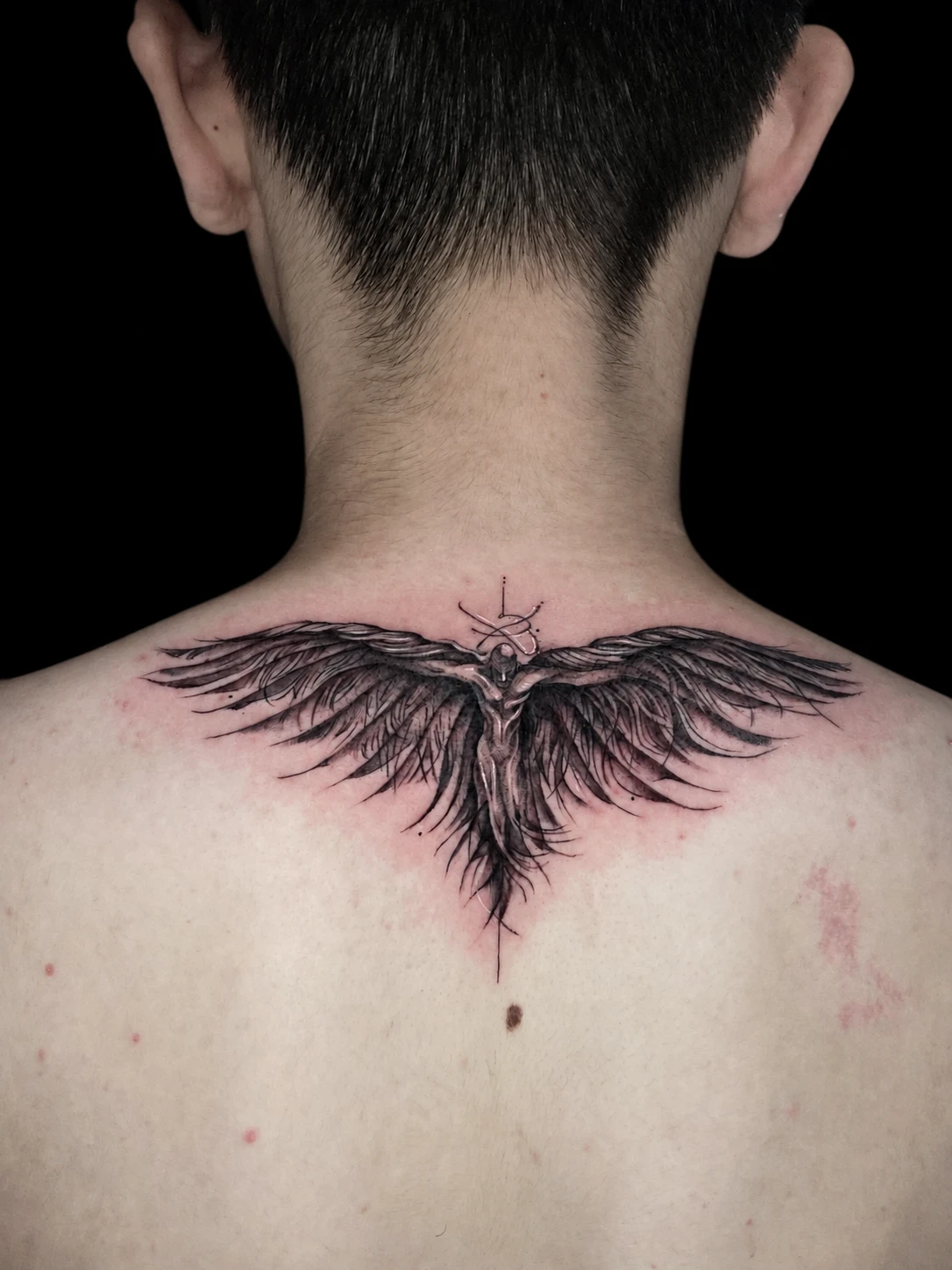 2022 portfolio photograph · Wings Across the Nape