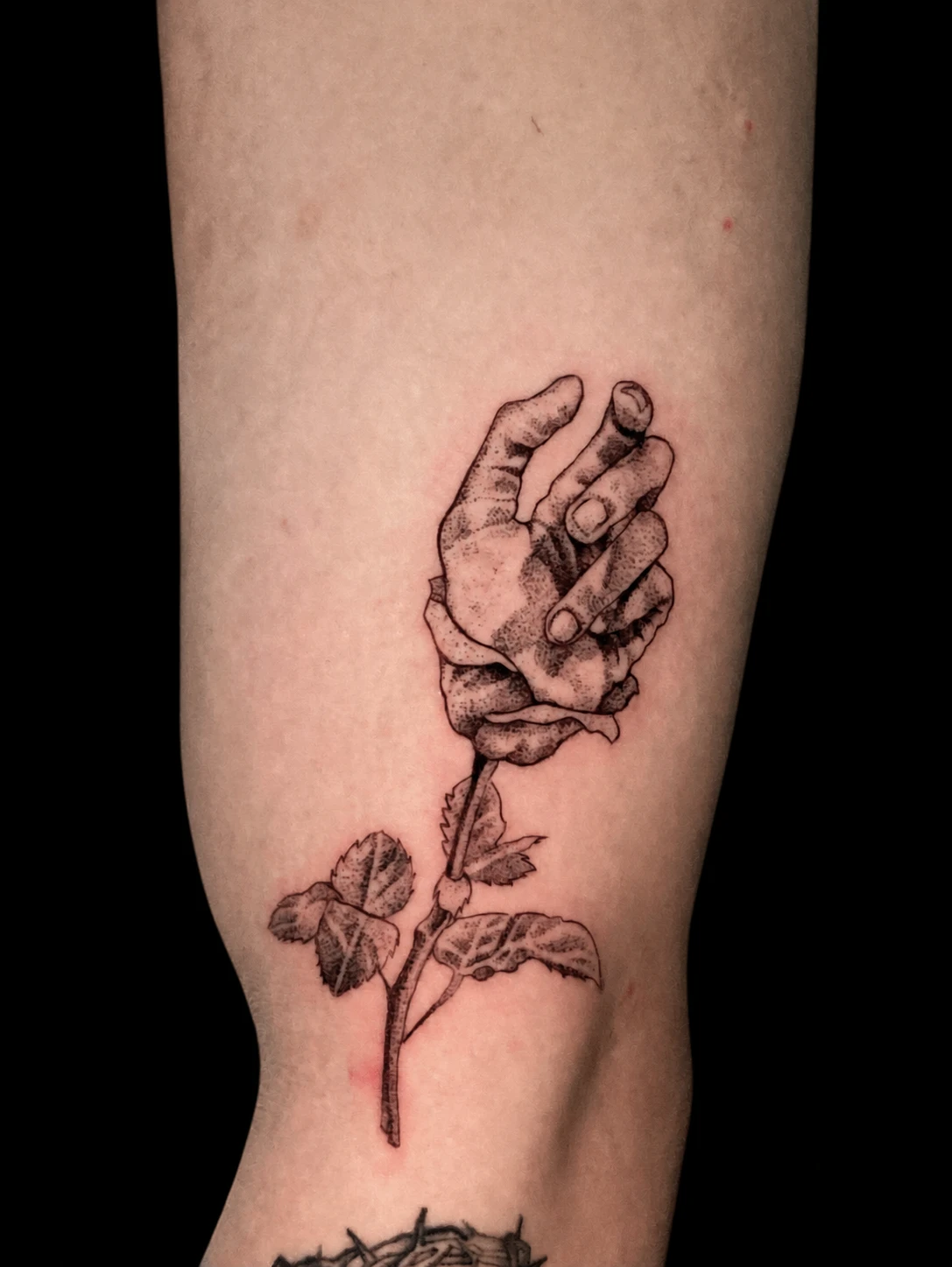 A Hand, a Rose tattoo by Zencat — 2022 archive · Surreal botanical